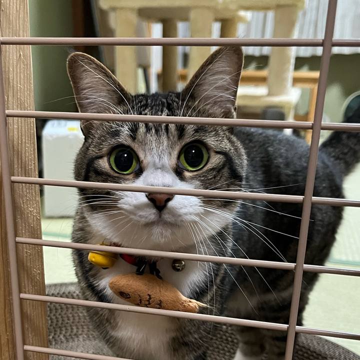 2227413a c434 4526 8bc0 c3d8efa22c3d 1768377061061