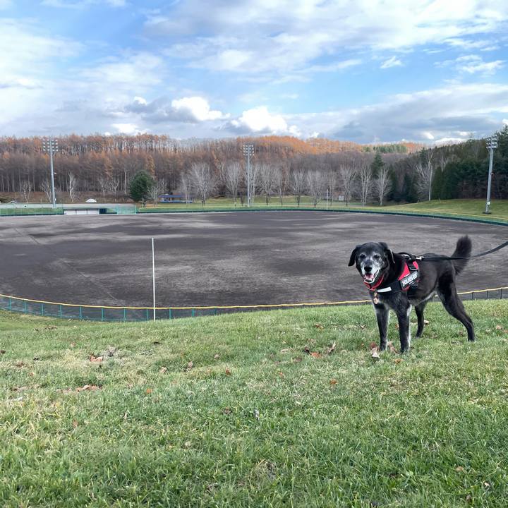 22276e4f d752 4a08 9f24 25eeed2e109c 1763114697655