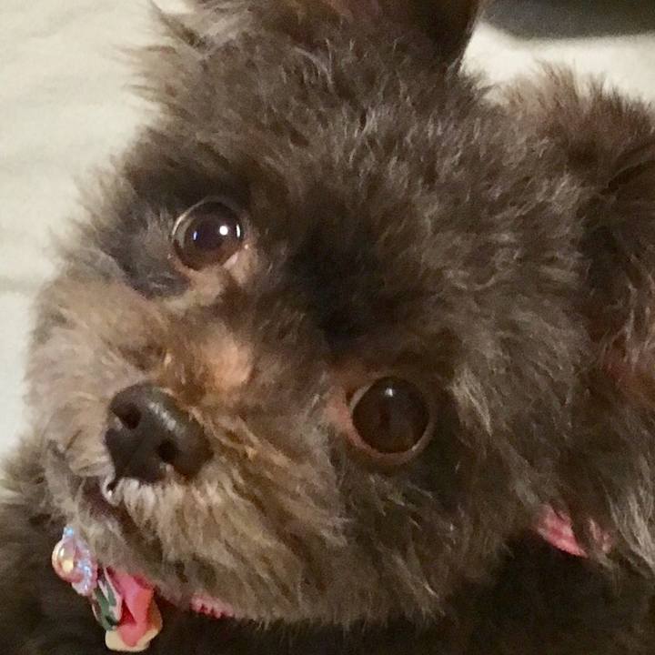 22278523 95f1 4e1d 8439 29a1b69685f1 1519431079366