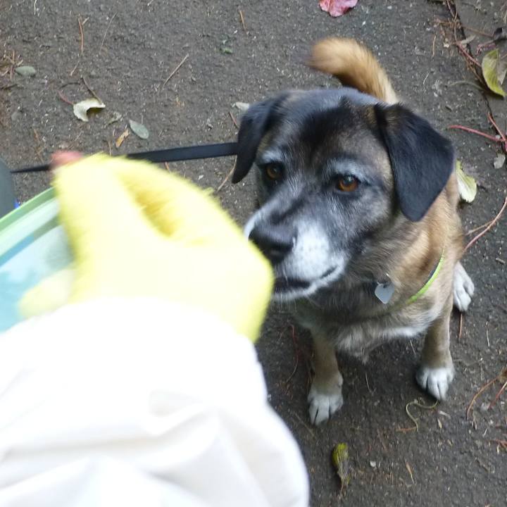 22278d8f b70c 4ecc 8d8f 2b692cfba3ea 1581037953493