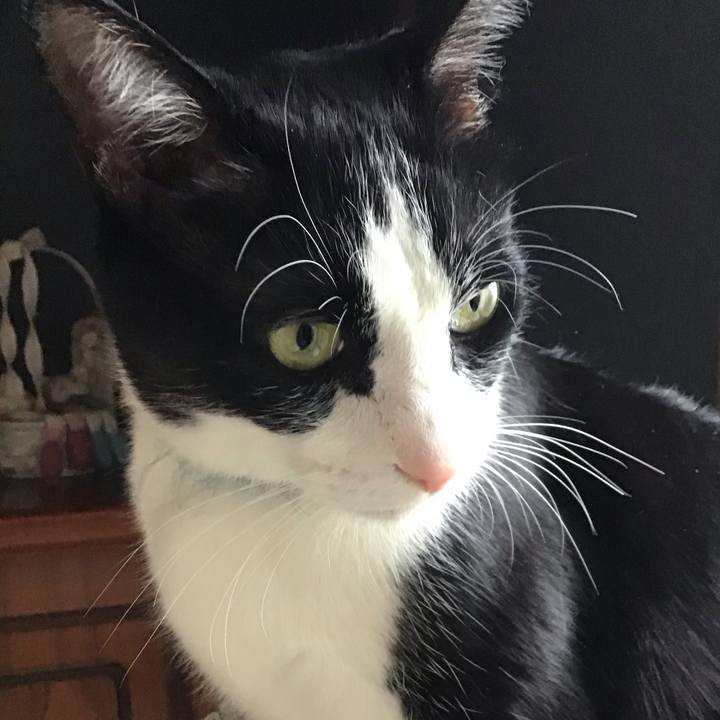 2227bae0 8894 43c9 a071 8690249b3189 1746432854028