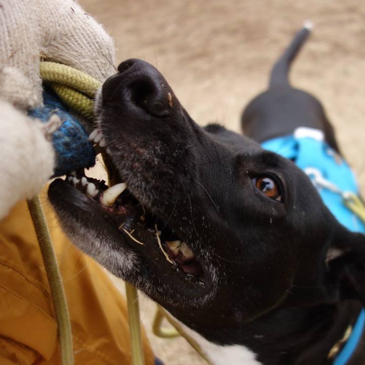 2227da43 099d 419b 95e1 fcee8b7bdab5 1614300011564