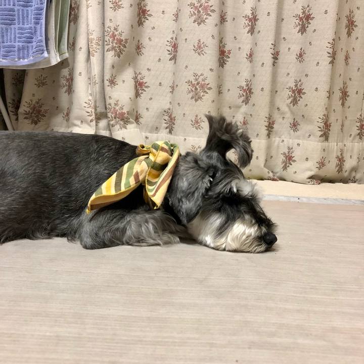 2227de4e 17c4 4369 80f6 8a75080367e1 1657413957235