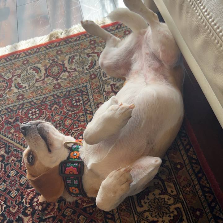 222826c9 4259 4f98 8d68 3a468c561882 1677659269926