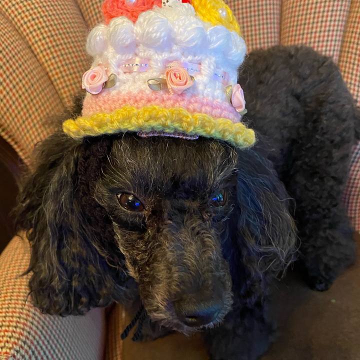 222831cb 4a5b 414a 8b82 c189200c353e 1656802255857