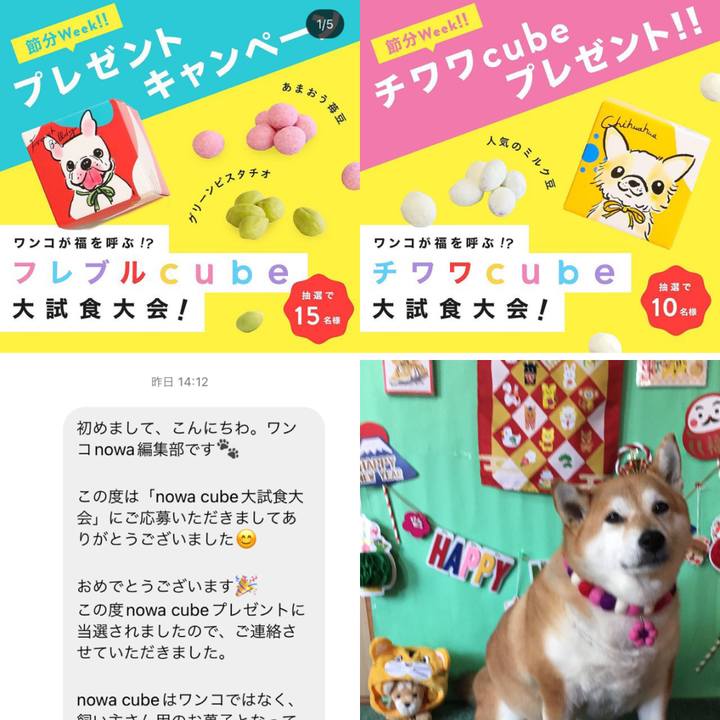 22283679 b860 4353 8545 6e647f9b10bd 1644046712128