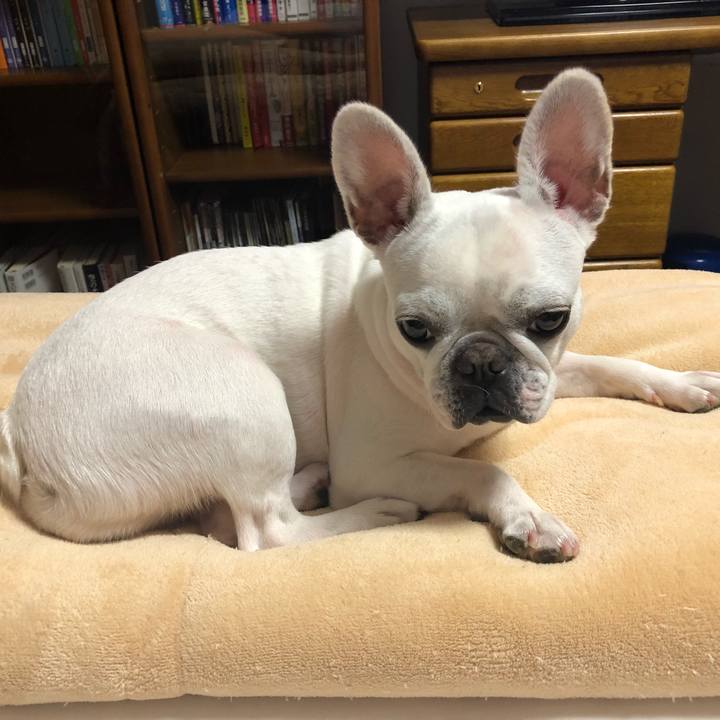 22284d7f 13d6 4ffa 82fe 530813edd1ab 1538290250885