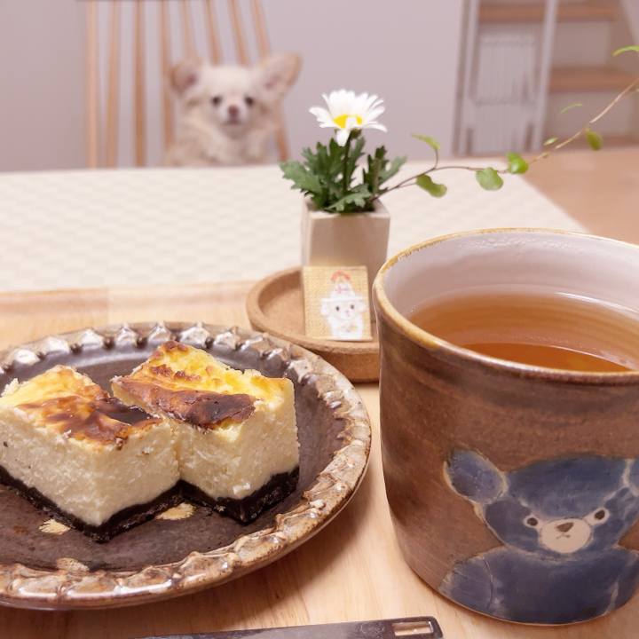 22287fd0 4a8d 436a b77a 5bee2e32552a 1737502989792