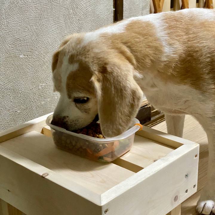 2228ad54 2494 4c54 95ed 790d69a98126 1594120905707