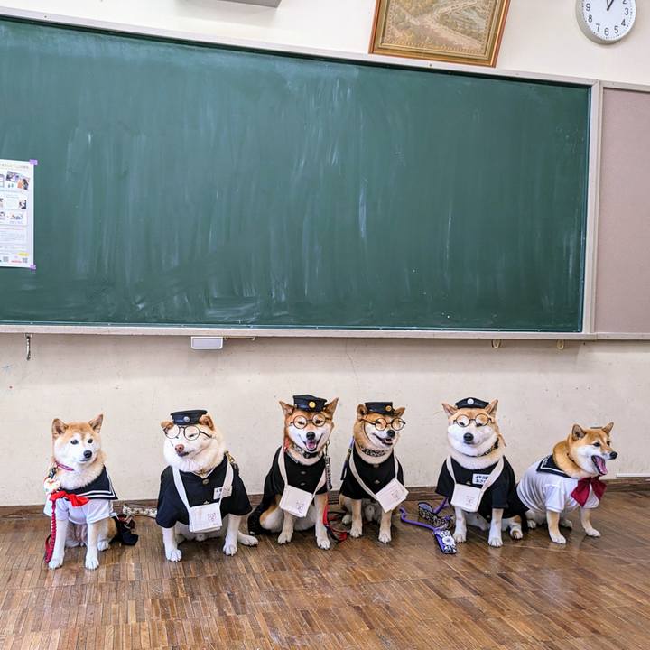 2228cf3a 700d 4bec 8467 122de095c5dc 1714370005487