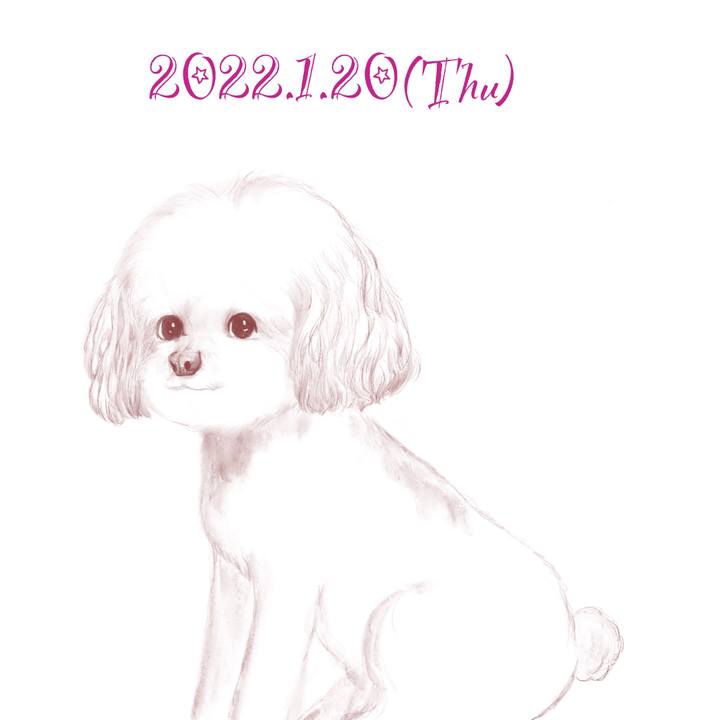 222917a3 d44a 4215 b48e b87dfc120376 1642686230420