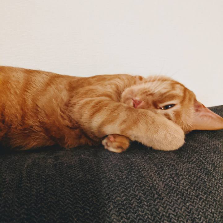 222917ed eee8 4985 ae6a ba14c1f258d5 1622696780733