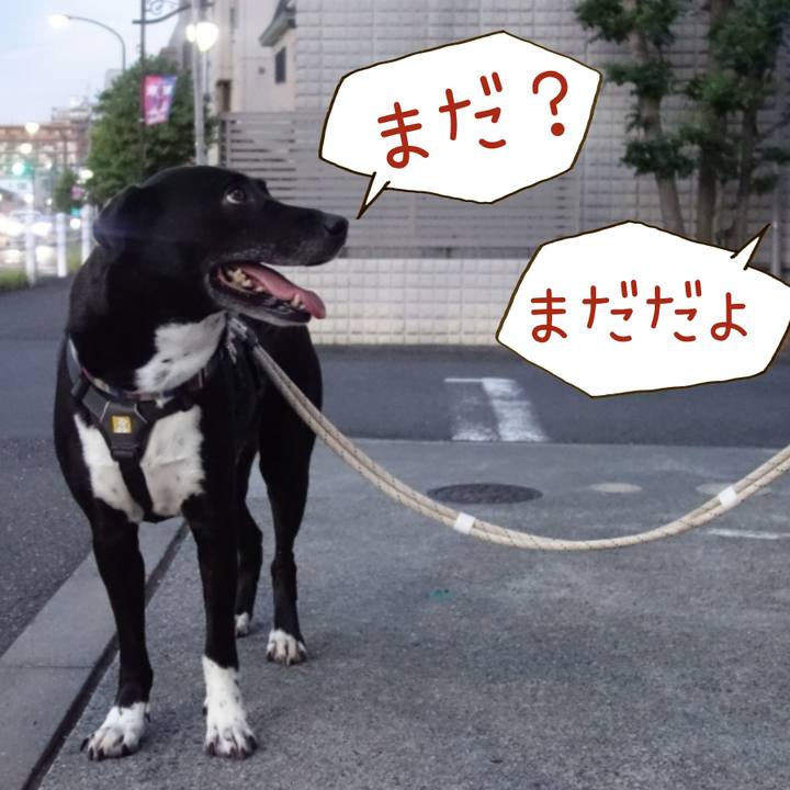 22291d13 bc11 4a0b beb4 81046c2ca230 1659094829566