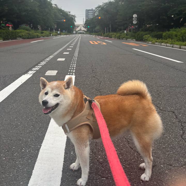 2229251b 1f1d 4693 b3fc 73b86b7554a2 1752004312011