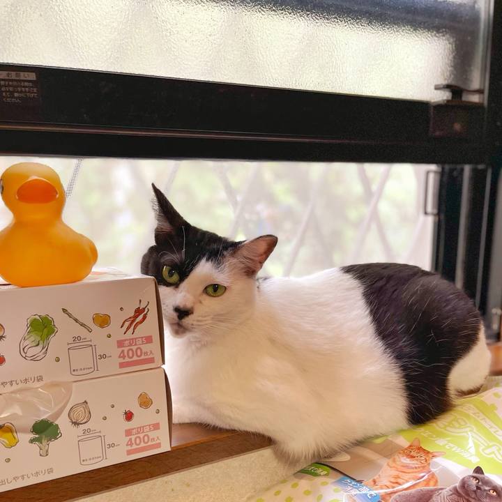 22294b1b eef3 41d0 8372 69a65eb39ffc 1757544639029