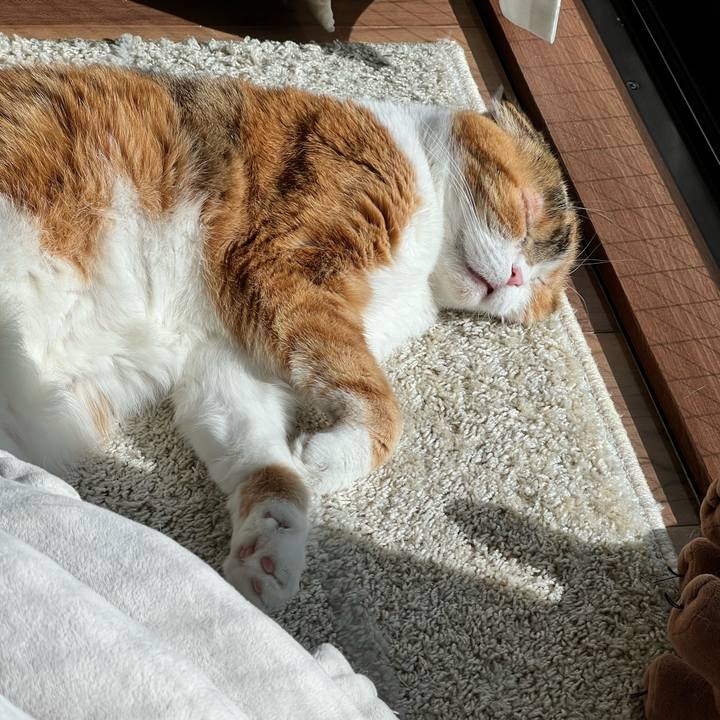 22295310 7c63 4379 8893 2505e1bdc320 1739077171630