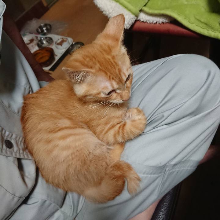 2229838e 9c60 4f87 adaa e52a12c6c242 1631870569281