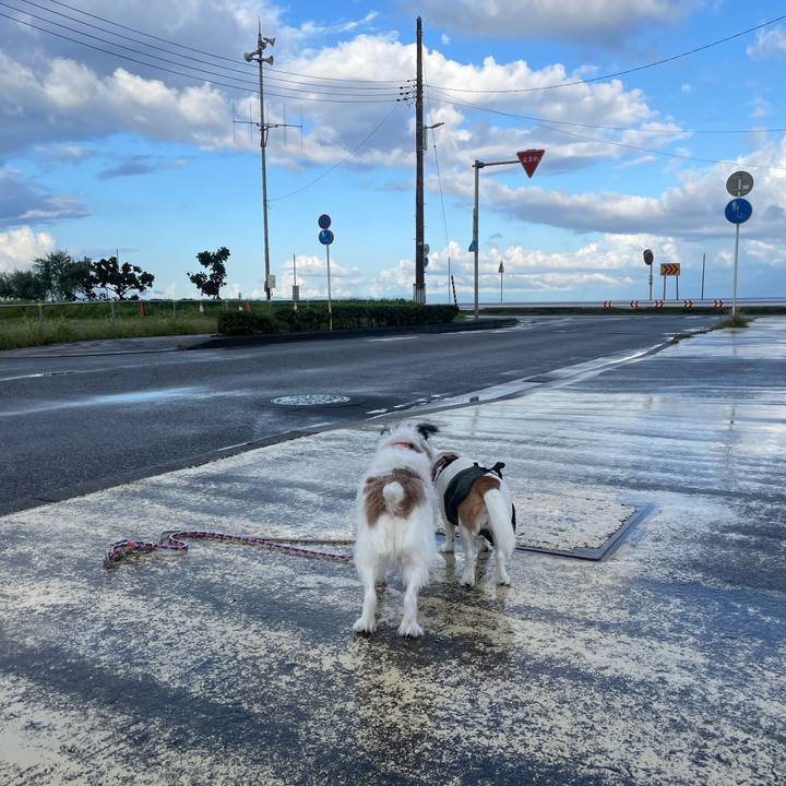 22298856 21c2 4107 b906 72c0c9313597 1759359714748