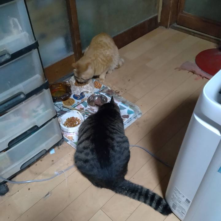 2229b855 ce76 4188 a3da 2aae26744c3c 1670241112353