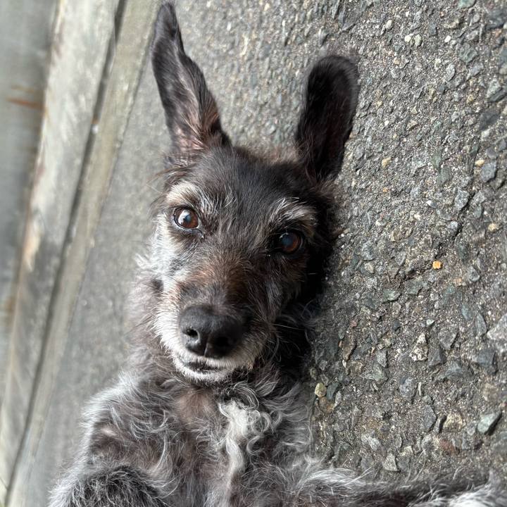 2229d797 0371 4adc 9a32 e4e000c7ec97 1758237067236