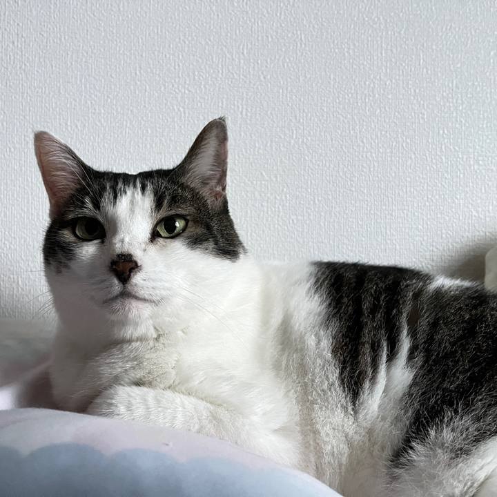 222a03f7 7d3e 4776 aa00 aa5ef03cde47 1722947561357