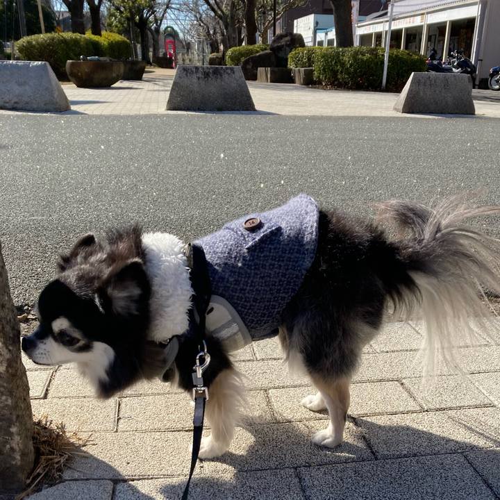 222a26b7 2065 4dd0 96c0 6bc357db4d53 1769654594965