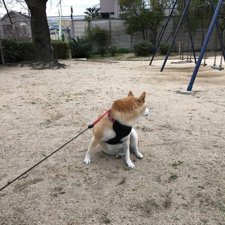 222a7298 2d55 4ba0 b930 882d881bf783 1544433417411