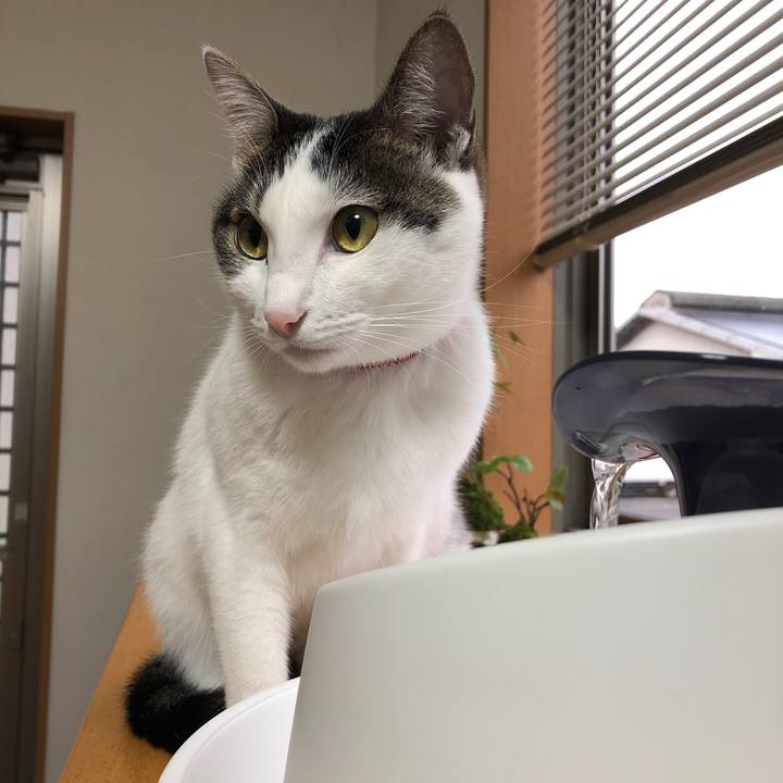 222a85b4 88ce 497a a6c7 e23b497a7eb0 1603061742524