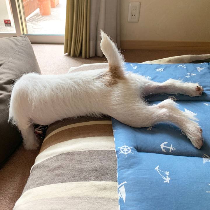 222aac14 32df 4111 876a a39c6057d789 1567392956737