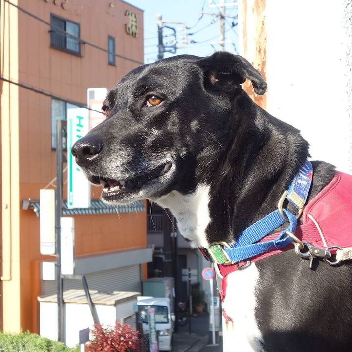 222ab1f8 b4ef 4d0f 95c0 a740def400cc 1681005165553