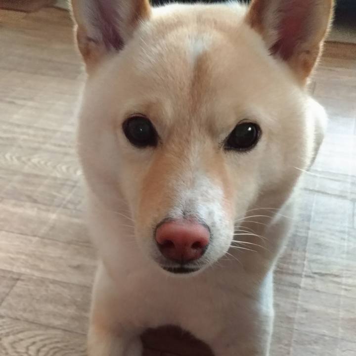 222afb8e be6f 41c5 9ad3 56fba8a43d46 1562367003673