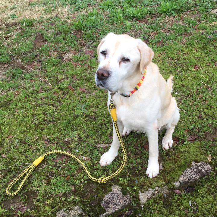 222b7388 f2c8 44e0 8a76 ad15b1a40c67 1524375246924