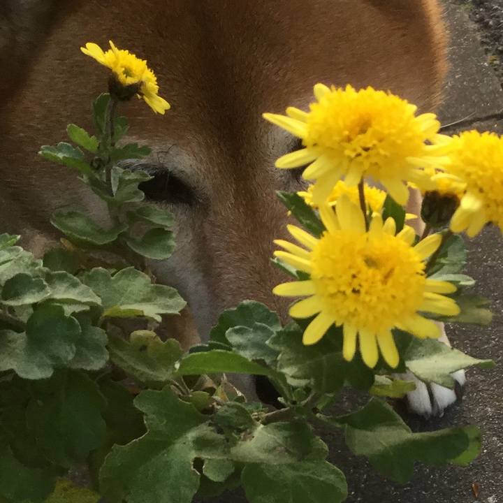 222b95d9 5a98 4bc1 8da4 6d823aa73a96 1578988584089