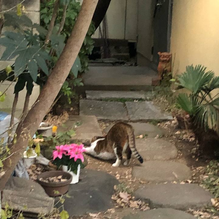 222b9945 9484 47d4 bbb3 3674f25fcb6b 1580971760938