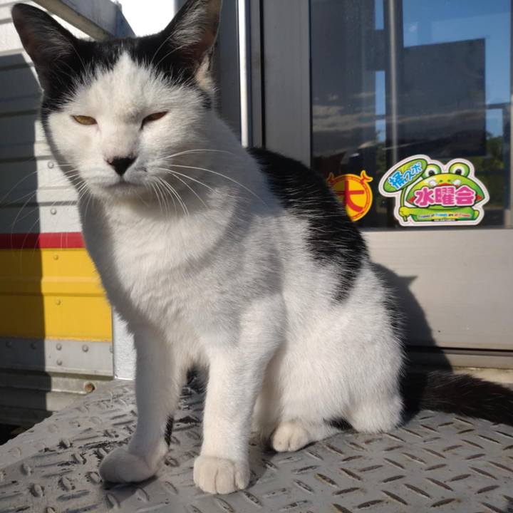 222bb48d 5478 4587 9698 57eec29c54f9 1729481502393