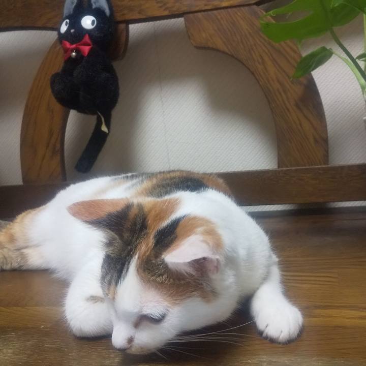 222bba89 bdc2 4390 be9b efe71036a417 1692009390374