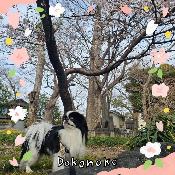 222bd970 6bfa 45af 8e79 a4bd0df46446 1711268745185