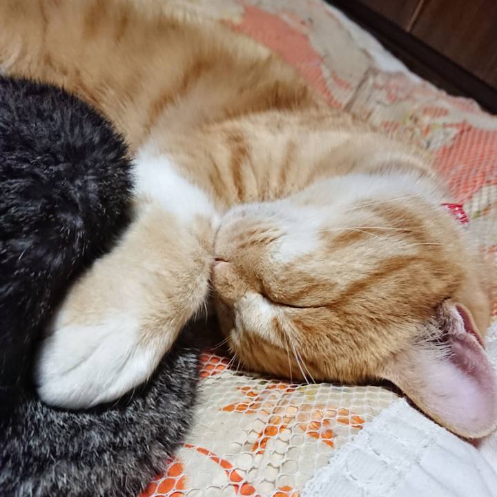 222bf629 316d 4103 937c 04fa6e333b4d 1577538399138