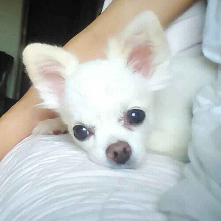 222bfa8a 0eec 4f06 955f dc9aa6a9a5bb 1570237242721