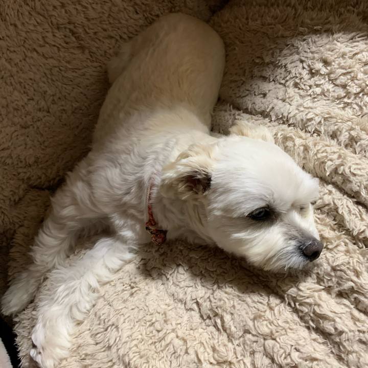 222c247f 6b3b 41a2 99ea edf55bc108c3 1606046488334