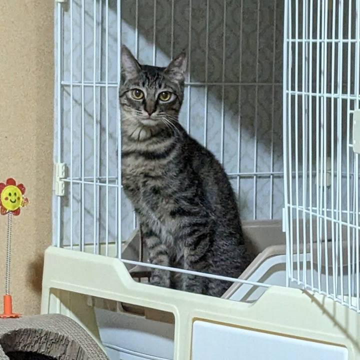 222c7ed0 35f5 4cfc a160 fe8fd0fbbd7a 1710045507421