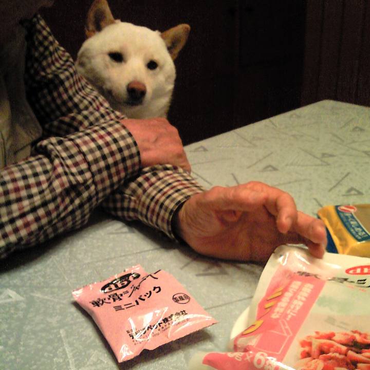 222d192a 4246 4161 a666 c5bb240a85e0 1656164127716