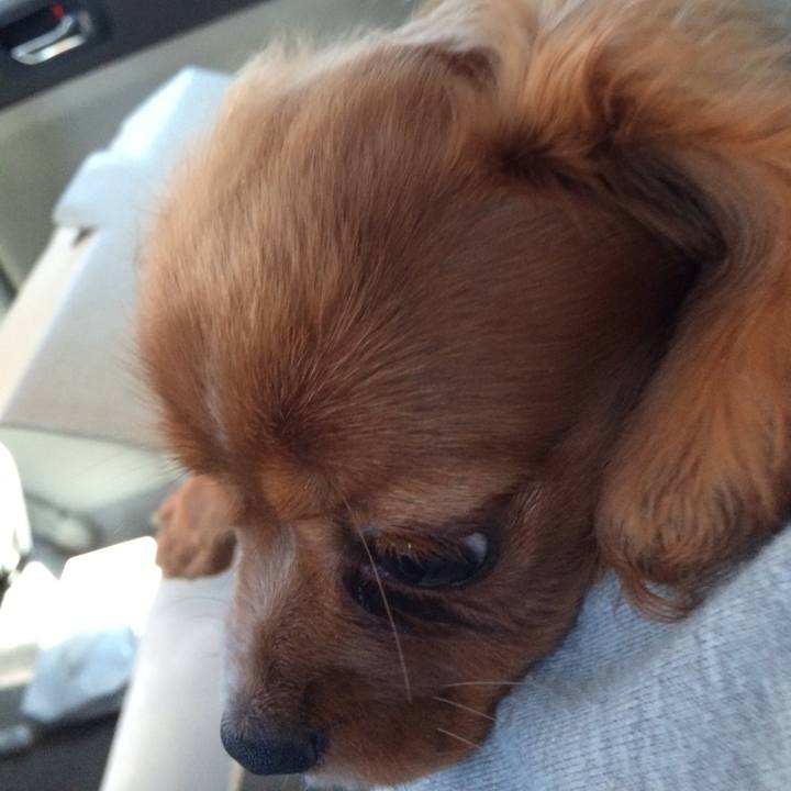 222d1cc5 5217 4e3d 9426 4d285280f7e7 1591103397314