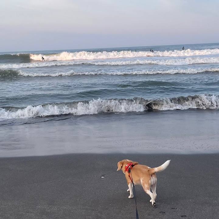 222d1d50 dc0c 47f1 bf92 5eab6486afab 1653735024973