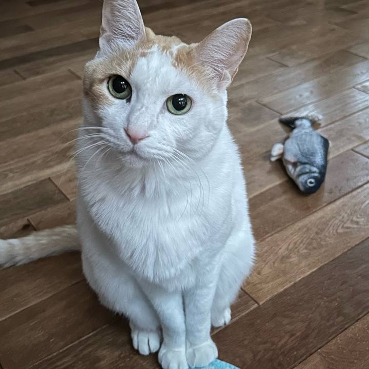 222d31ef 4d70 40c5 b301 4dfd1cc537b6 1672042723601