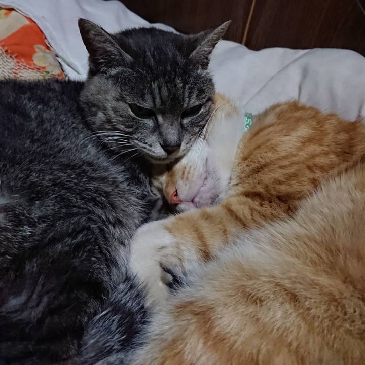 222d4aa4 3b3e 48ef b0af d57fbffb8244 1584792190254