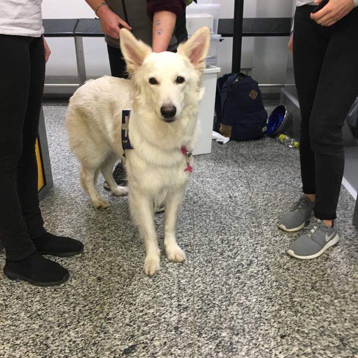 222d59f0 e604 48ff 8dcc 4f76524e4b18 1606794604186