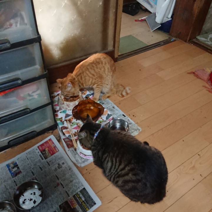 222d6e51 8783 4fe5 8743 9b1c76b4d50c 1656453212431