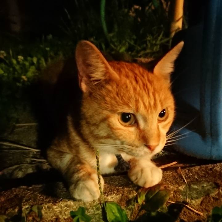 222d7c4b c66c 4acc ae2f d385f42597e9 1563883949689