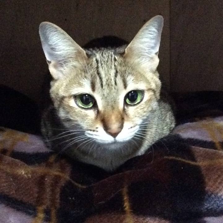 222d96f6 4b95 424e ad3b cda5b11b5510 1651403925511